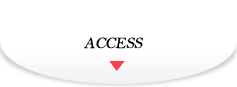 ACCESS